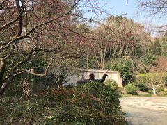 -杭州半山国家森林公园