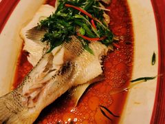 清蒸鲈鱼-院里寻菜·精致庭院菜(观沙岭店)
