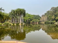 -中国科学院西双版纳热带植物园