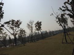 -上海长兴岛郊野公园