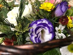 -ChaKo Flora ·茶子花艺 (市北店)