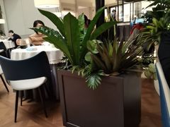 -狮王府淮扬菜(万象城店)