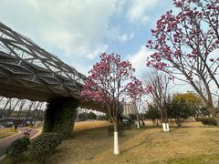 -府河摄影公园
