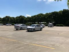 -安飞驰驾校·学车连锁(金高店)
