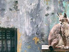 -青藏高原野生动物园