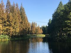 -西青郊野公园