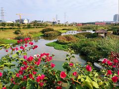 -那考河湿地公园
