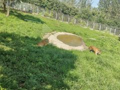 -西安秦岭野生动物园