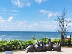 -广东惠东海龟国家级自然保护区