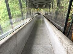 景点-龙湾潭国家森林公园