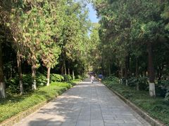 -灵谷景区