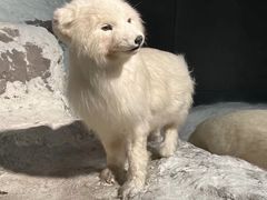 -浙江自然博物院(杭州馆)
