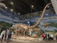 -自贡恐龙博物馆