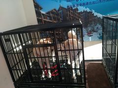 -翠云山银河滑雪场