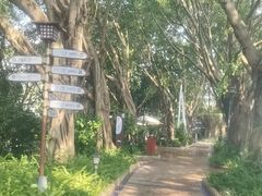 -碧水湾温泉