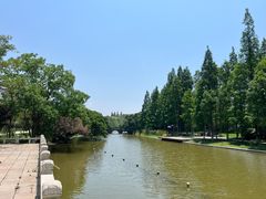 -江心屿景区