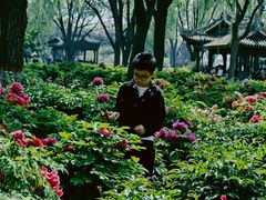 -石家庄市植物园