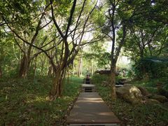 -深圳国际园林花卉博览园