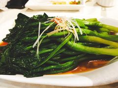 白灼芥兰-楚畹园