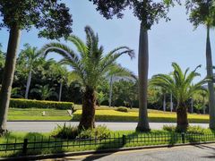 -黄金海岸环岛路