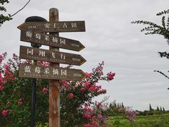 -金谷域澳洲庄园