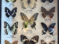 -海合安武汉极地海洋公园