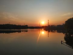 -昆山城市生态森林公园