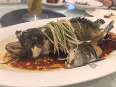 -万龙洲海鲜(大兴绿地缤纷城店)