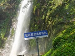 -莫里热带雨林景区