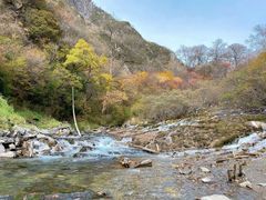 -叠溪松坪沟景区