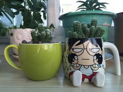-龙大花卉苗木市场