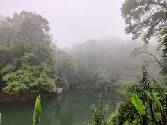 -常德桃花源景区