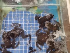 -南方酒店·淮扬菜(回民街店)