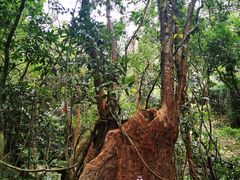 -七仙岭温泉国家森林公园