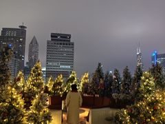 -城市露台景观餐厅(淮海路店)
