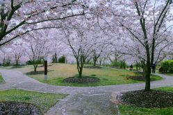 -伊莎贝拉婚礼庄园(顾村店)