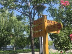 -龙口南山旅游景区