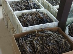 -成都国际商贸城