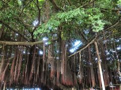 -胡里山炮台
