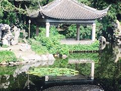 -叶家花园