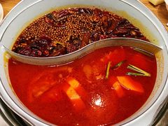 -青瓷火锅料理(西单大悦城店)