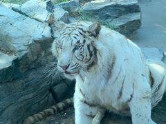 -北京野生动物园