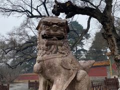 -沈阳市东陵公园
