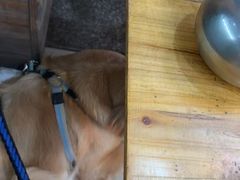 -小钱鱼馆(富春路店)