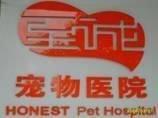 -瑞派动物医院·猫专科·至诚(江南中分院)