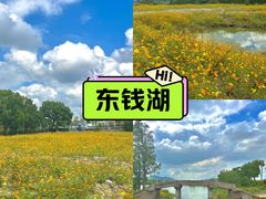 -东钱湖旅游度假区