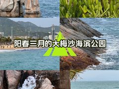 -大梅沙海滨公园
