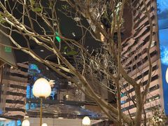 -桂满陇·海市蜃楼·黑金(国金店)