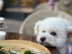 -BAKER&SPICE(祥云小镇店)