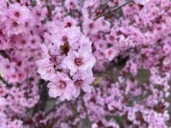 -朝阳公园